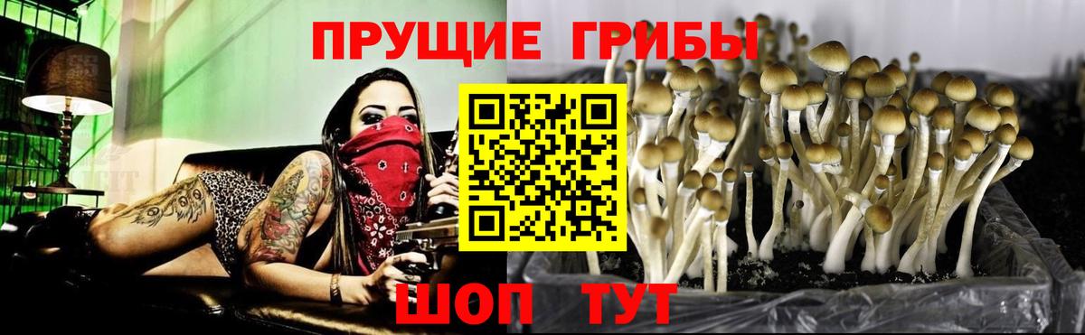 Псилоцибиновые грибы Magic Shrooms  Вход с VPN  Урус-Мартан 